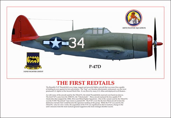 332ND FIGHTER GROUP "TUSKEGEE AIRMEN" PROJECT